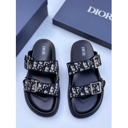 Dior101