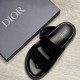 Dior3