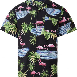 قمصان هاواي